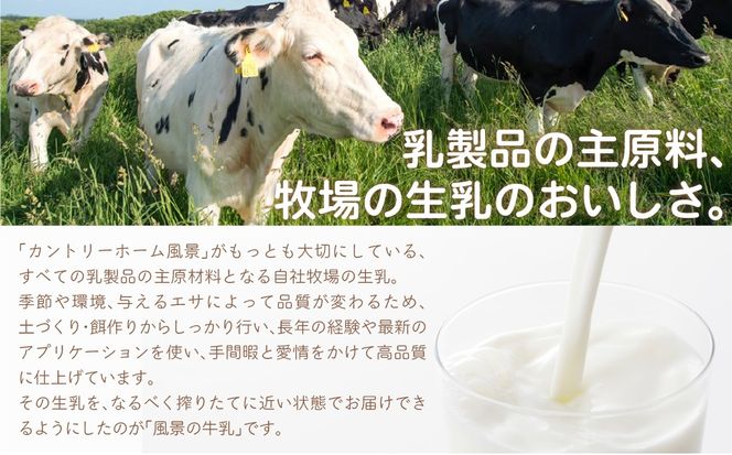 【定期12ヶ月】風景の牛乳 500ml ×8 SKB082