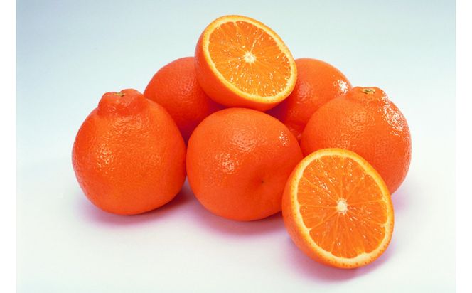 SANUKIFROZEN デコポン 60g×8袋 372013_KF022