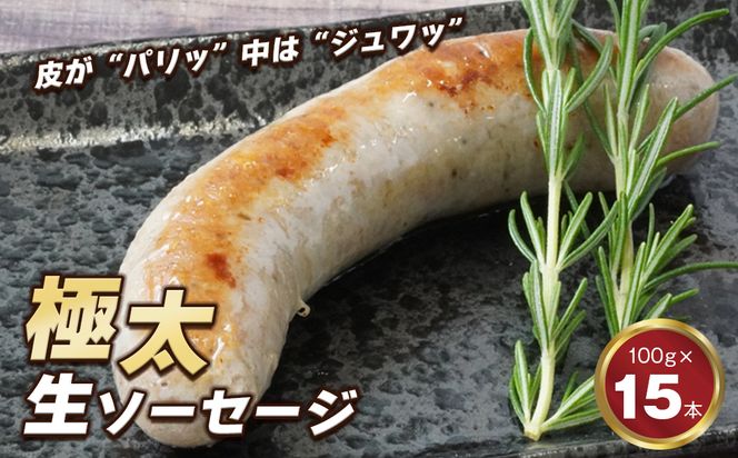 生ポークソーセージ　100g×15本入り　[冷凍食品 豚肉 特大]