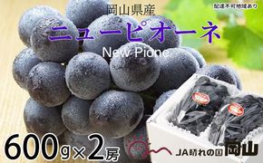 ぶどう 2026年 先行予約 ニュー ピオーネ 約600g×2房 ブドウ 葡萄  岡山県産 国産 フルーツ 果物 ギフト 果物類 