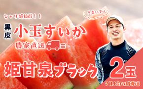 【 先行予約 2027年7月上旬以降発送 】八千代町産 黒皮 小玉スイカ 姫甘泉ブラック 1箱（2玉入） 黒皮 すいか 西瓜 [SF004ya]