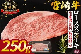 生産者応援 期間限定 数量限定 ＜宮崎牛ロースステーキ 1枚＞2025年2月に順次出荷【 国産 黒毛和牛 牛肉 牛 精肉 ロース ロース肉 ステーキ 4等級以上 ブランド牛 赤身 贈答品 ギフト 贈り物 化粧箱 グルメ ミヤチク 宮崎県 国富町 】【b0738_my】