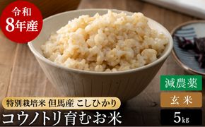令和8年産 減農薬 玄米 特別栽培米 5kg コウノトリ育むお米 但馬産 こしひかり 兵庫県産 (5kg×1袋) 減農薬 お米 5キロ 玄米 コウノトリ米 コシヒカリ コメ こめ ご飯 ライス 減農薬米