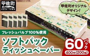ティッシュペーパーソフトパック　４００枚（２００組）６０パック - ソフトパック ティッシュ ペーパー 生活用品 雑貨 日用品 必需品 紙 常備品 まとめ買い 備蓄 防災 ストック 熊本県 甲佐町【ZA】【価格改定】