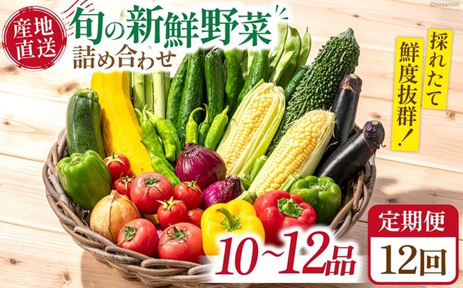 【12回定期便】毎月連続お届け 新鮮 「旬の野菜・フルーツ」 詰め合わせ セット（10品〜12品）/ 野菜 定期便 やさい 定期便 野菜セット やさいセット 春野菜 夏野菜 秋野菜 冬野菜 旬新鮮 / 南島原市 /長崎県農産品流通合同会社[SCB097]