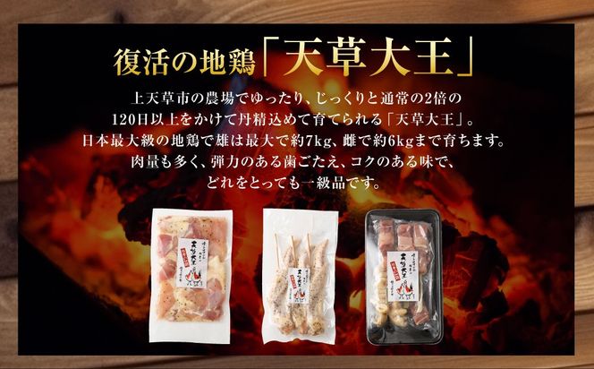 天草大王プレミアムバーべキューセット(大)