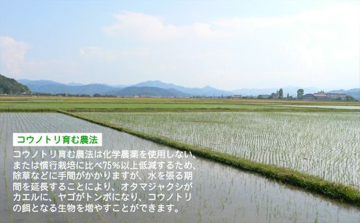 新米 六方たんぼ コシヒカリ 減農薬（白米：3kg）令和8年産 / 米 お米 精米 コシヒカリ コウノトリ育む農法