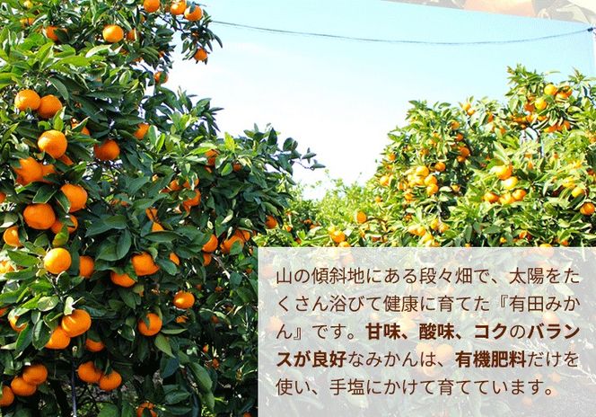 ＼光センサー選別／こだわりの完熟有田みかん 8kg＋150g(傷み補償分) 【ご家庭用】サイズ混合 有機質肥料100%｜ ふるさと納税 ミカン 〇