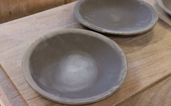 焼き物 パスタ皿 ２枚ペアセット