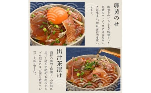 【12回定期便】訳あり土佐の海鮮漬け丼（5種×各2袋）セット 漬け丼の素 タイ 鯛 ブリ 鰤 マグロ 鮪 イカ カツオ 鰹 たたき 新鮮 魚 おかず おつまみ 惣菜 小分け【企業組合　宇佐もん工房】 [BQAB016]