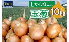 【予約：2026年11月から順次発送】玉葱 10kg Lサイズ以上 ( 玉ねぎ たまねぎ タマネギ 野菜 10キロ ふるさと納税 玉ねぎ生産量日本一 北見市産 )【148-0014-2026】