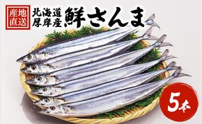先行予約 産地直送 鮮度抜群 北海道 厚岸産 刺身用 鮮さんま 5本 サンマ 秋刀魚 さんま 鮮魚 魚介類 海産 生さんま