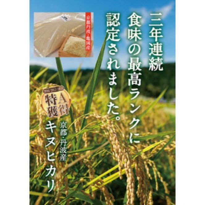 【1月発送】【定期便】令和7年産 新米 5kg 3ヶ月 京都丹波産 キヌヒカリ 白米＜JA京都 たわわ朝霧＞ 3回定期便 5kg×3回 計15kg 毎月発送に合わせて精米