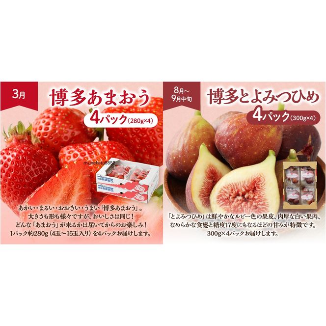 【定期便/年４回】旬の福岡フルーツ定期便【ほたるの里】_HB0087