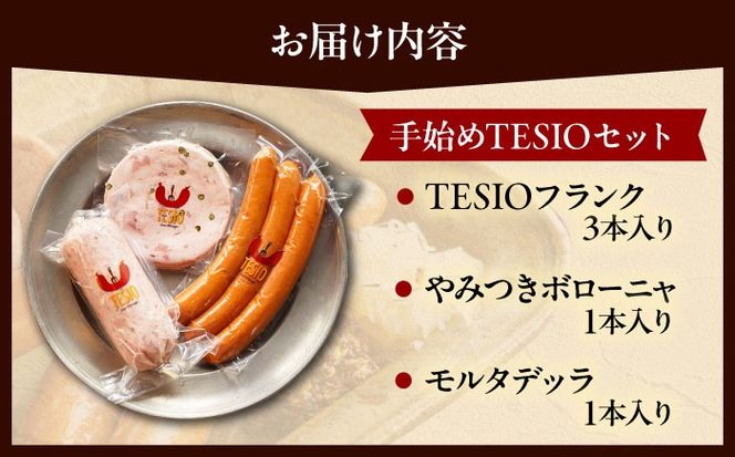 TESIOの自家製ハム＆ソーセージ 『手始めTESIOセット』 豚肉 ハム ソーセージ 小分け 真空パック 沖縄市 / TESIO[BCAD001]