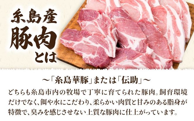 【全6回定期便】糸島産豚ロース肉6枚 肩ロースカツ5枚 合計11枚セット《糸島》【糸島ミートデリ工房】 [ACA230]