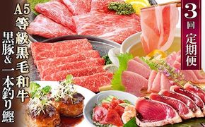 定期便(3回配送)黒毛和牛・黒豚・カツオ LL-6036 【1483594】