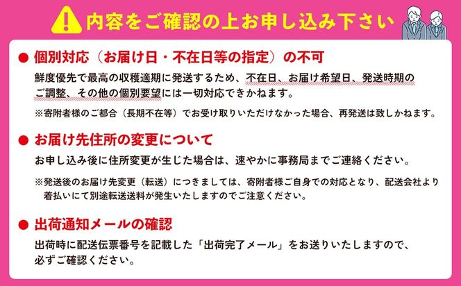 【2027年発送】大宜味村産 アーウィン種マンゴー　優品1kg以上