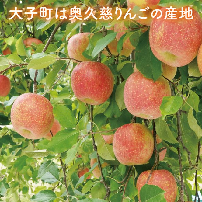 【数量限定/先行予約】奥久慈りんご「サンふじ」約3kg（6～14玉）【2026年11月上旬頃発送予定】斉藤りんご園第2直売所｜茨城県 大子町 樹上完熟 林檎 果物 フルーツ 旬 産地直送 （CG007-1）