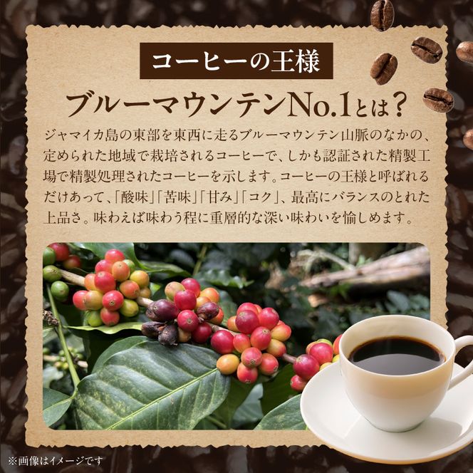 ブルーマウンテンＮｏ．１（豆のまま） ［104T03］ ブルーマウンテンNo.1 豆のまま コーヒー好き 豆香館 日本人の味覚 相性が良い 高級豆 ブルーマウンテン 浅煎り コーヒーの王様 ジャマイカ 深い味わい 上品な味 コーヒー ご褒美 プレゼント用 ギフト用 愛知県 小牧市 送料無料