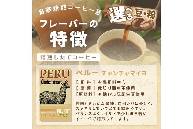 【栽培期間中農薬不使用】自家焙煎コーヒー豆 ペルー チャンチャマイヨ 500g（250g×2）　約50杯分　小分け　豆・粉 選べる 飲料 珈琲 こーひー コーヒー coffee　HA00024