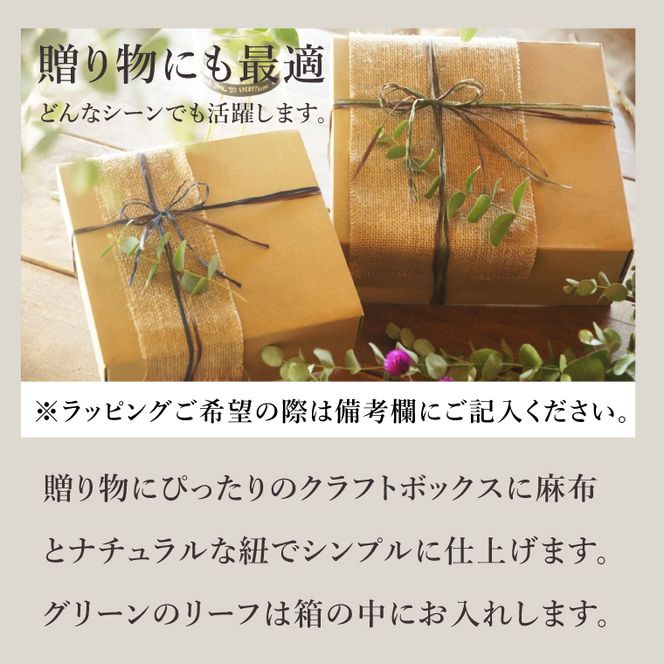 【ふるさと納税限定！】お洒落人気カフェ「咲くカフェ」の【Gift】マグカップ Box ターコイズ＆グレー｜茨城県 大子町 奥久慈 袋田 リノベーション カフェ 古民家 おしゃれ コーヒー 珈琲 マグカップ 木製 スプーン コースター ギフト プレゼント ラッピング のし 熨斗(BD014)