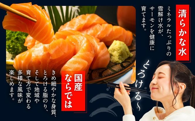 nbj0010 国産アトランティックサーモン 500g ポーション【小分け 真空パック 訳あり サイズ不揃い 刺身 海鮮丼 さーもん 鮭 さけ シャケ しゃけ 冷凍】