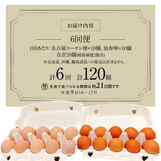 【6回便】名古屋コーチン卵・仙寿卵お試しセット（各10個入り）×6回（計各60個） [006K04-T]