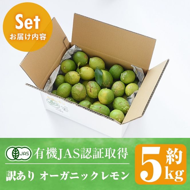 数量限定！有機JAS 訳ありオーガニックレモン(約5kg) 国産 訳あり レモン 檸檬 果実 果物 フルーツ 柑橘 デザート 期間限定 有機栽培 健康志向 【中村農場】akn084-02