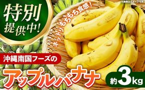 【特別提供中】 国産 希少種！南国フーズのアップルバナナ 約3kg - バナナ ばなな 小ぶり 沖縄県 産地直送 果物 フルーツ 南国 朝食 おすすめ 沖縄県 八重瀬町【価格改定】