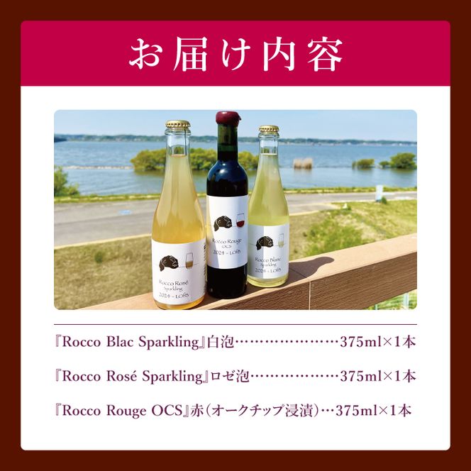 3種の2024ものハーフボトルセット～行方市内の自社畑ぶどう（2024年収穫）で醸造したワイン～｜ワイン  ボトルワイン 酒 お酒 酒類 赤ワイン スパークリングワイン ボトル ぶどう セット ワインセット 茨城県 行方市(GQ-8)