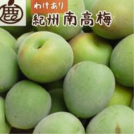 家庭用 紀州南高梅(青梅)5kg+250g（傷み補償分）【梅干し・梅ジュース】【訳あり】［IKE113］ 303446_BB90156