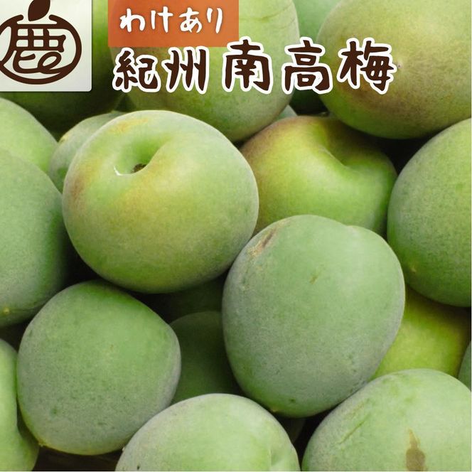 家庭用 紀州南高梅(青梅)5kg+250g（傷み補償分）【梅干し・梅ジュース】【訳あり】［IKE113］ 303446_BB90156