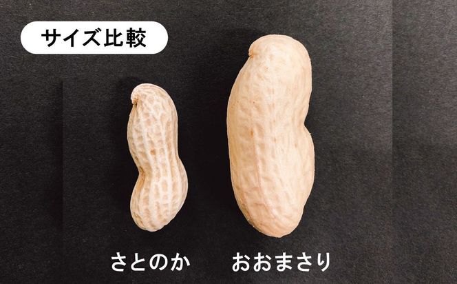 生落花生 おおまさり 2kg とれたて 耕地の美味しい野菜シリーズ第1弾 H132-034