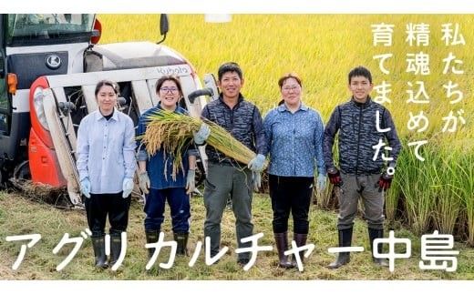 【 選べる お届け回数 】コシヒカリ 精米 10kg 令和7年産 米 お米 コメ 白米 こしひかり 茨城県 新生活 応援 定期便 [EX007ci00]