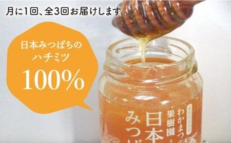 【全3回定期便】わかまつ 果樹園 の 日本 蜜蜂 の はちみつ 2コ セット 100％ PURE RAW 糸島市 / わかまつ農園 [AHB035]