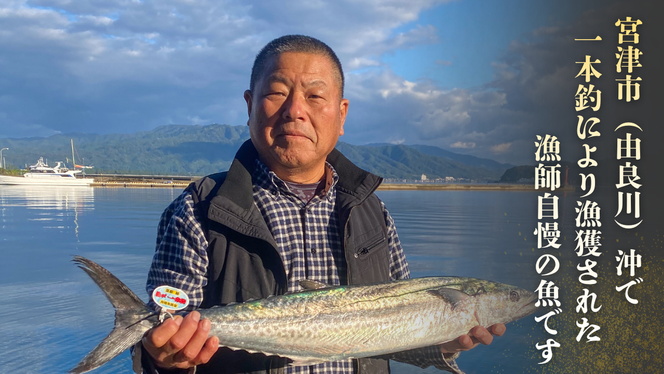 サワラ 一本釣 「特選船上活〆サワラ」 鰆 さわら 京都 宮津 海鮮 海産物 