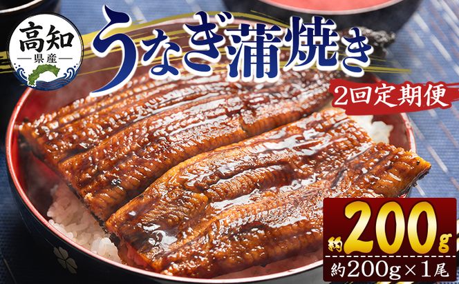 うなぎ 定期便【２回定期便】高知県産養殖うなぎ蒲焼き 約200g×１尾 魚介 国産 海鮮 魚 かばやき 鰻 ウナギ 惣菜 おかず お手軽 加工品 加工食品 冷凍 Wfb-0045