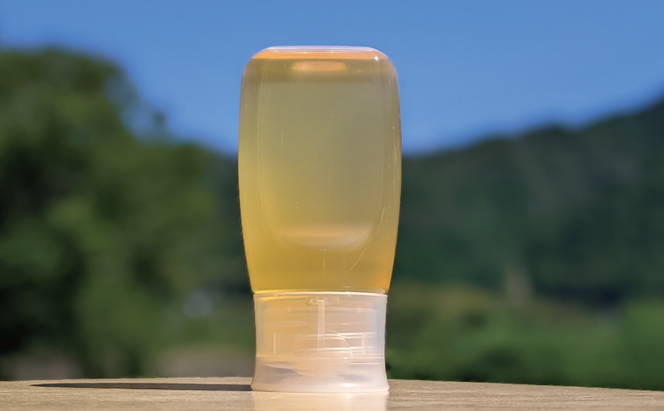 合計7200g 天然蜂蜜 国産蜂蜜 非加熱 生はちみつ 岐阜県 美濃市産 初夏 (蜂蜜300g入りピタッとボトル24本セット) B19 深田養蜂のハチミツ