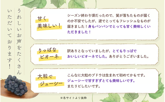 【2026年の先行予約です】 ぶどう 訳あり 花笑み農園の ニューピオーネ 1kg hana33. / ぶどう ブドウ 葡萄 岡山 ピオーネ 先行予約 フルーツ 果物 真庭市 【hana033-02】
