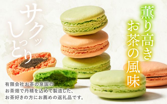 うまかばーいマカロン （ 抹茶 ＆ ほうじ茶 ） 2箱（合計6個入り） マカロン まかろん スイーツ 洋菓子 お菓子 焼き菓子 お茶菓子 おやつ デザート 個包装 贈り物 ギフト 熊本県 八代市