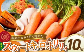 〈予約受付〉メディア出演多数！【期間限定】（訳あり）鈴盛農園の甘～いにんじん 『スウィートキャロットリリィ』 10kg H022-020