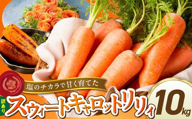 〈予約受付〉メディア出演多数！【期間限定】（訳あり）鈴盛農園の甘～いにんじん 『スウィートキャロットリリィ』 10kg H022-020