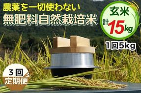 【3回定期便】自然栽培米 にこまる ＜農薬を一切使わない無肥料栽培＞ 玄米 5kg × 3ヶ月 計15kg《令和6年産 新米 京都丹波産 無農薬米栽培向き 厳選品種》