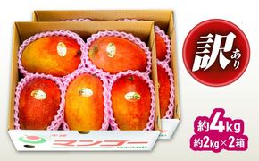 【先行予約 2026年発送 予約受付】 訳あり 完熟マンゴー 約4kg (約2kg×2箱) マンゴー 沖縄 果物 フルーツ ギフト 沖縄市 / ちゃんぷる〜市場[BCAA007]