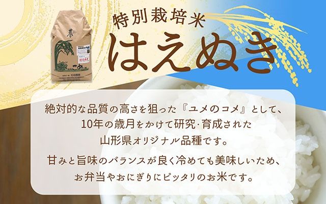 石垣農園の特別栽培米 はえぬき 5kg 令和7年産 2025年産 ブランド米 コシヒカリの原点、亀の尾発祥の地 庄内
