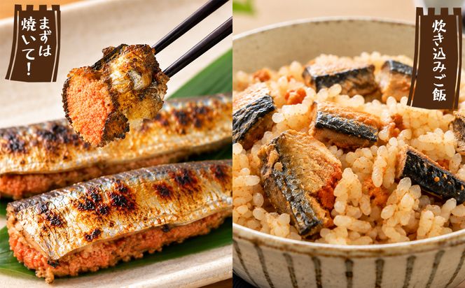 【北海道産】 いわし明太 6尾(2尾入×3袋) マイワシ 小分け ご飯のお供