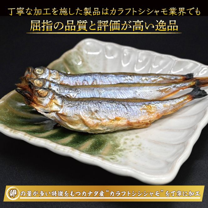 【数量限定】シシャモ シシャモフライ セット 訳あり ワケアリ 子持ちシシャモ カラフトシシャモ カラフトししゃも ししゃも 2kg 簡単調理 フライ 冷凍 魚介類 大洗 時短