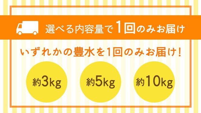 ＼ 選べる内容量 ／ 豊水 梨 約3kg / 約5kg / 約10kg 【2026年9月より発送開始】（茨城県共通返礼品 [梨]：大子町産） なし 旬 お取り寄せ フルーツ 甘い ジューシー 和梨 時期