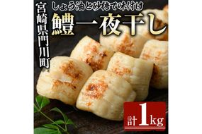 鱧の一夜干し(計1kg)ハモ 干物 魚介 おつまみ おかず 小分け 冷凍 国産 宮崎県 門川町【O-2】【門川漁業協同組合】